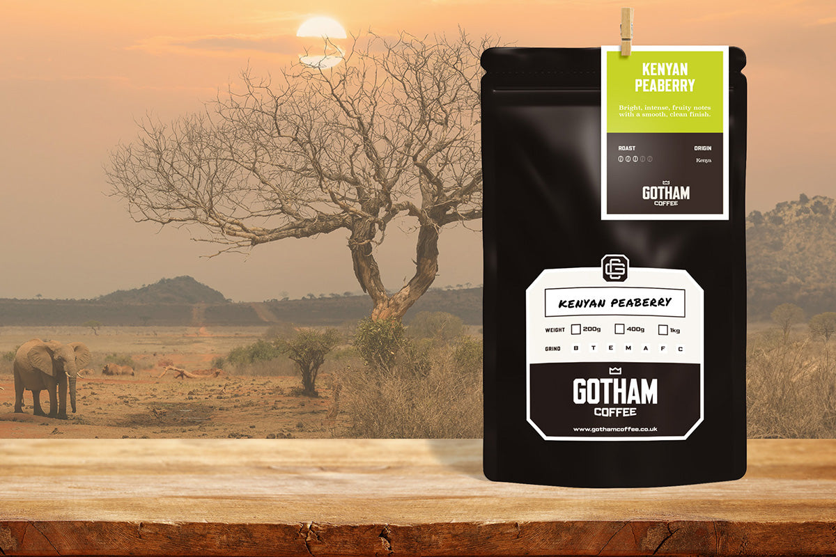 New Autumn Arrivals From Gotham Coffee