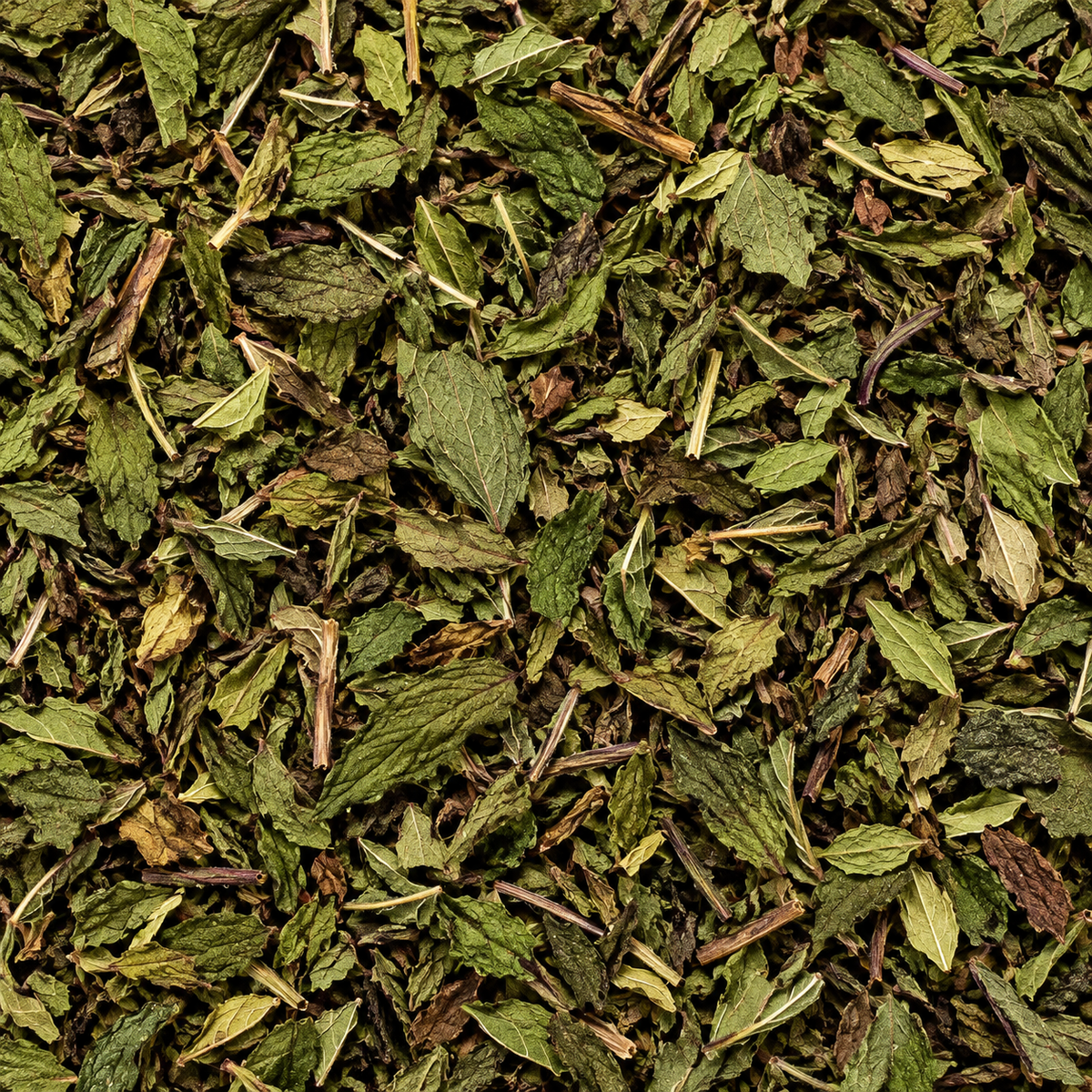 A close-up, top-down view of dried peppermint tea leaves.